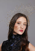 Veil